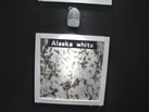 Alaska white - ۼ